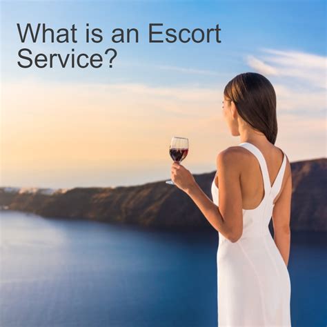 define escort|Escort Definition & Meaning .